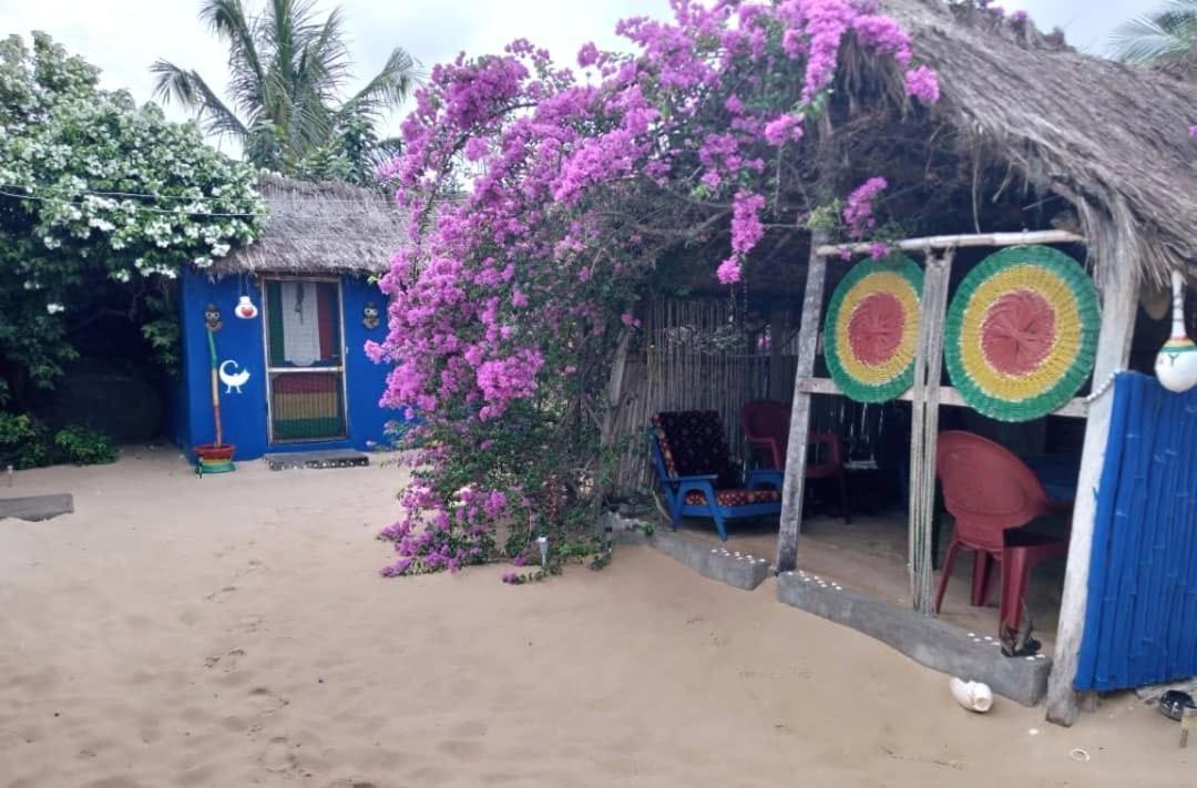 A&Y Wild Camp Ghana Keta Экстерьер фото