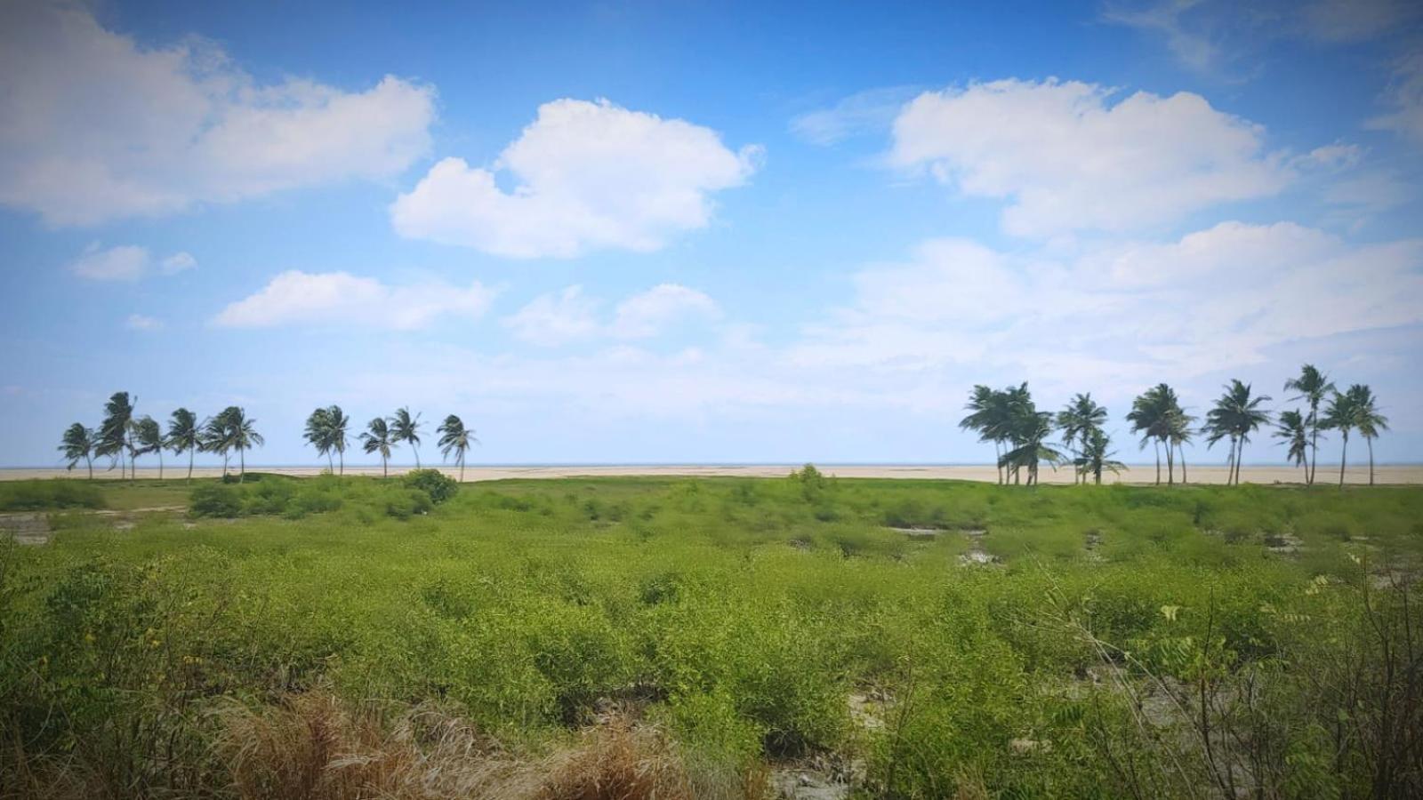 A&Y Wild Camp Ghana Keta Экстерьер фото