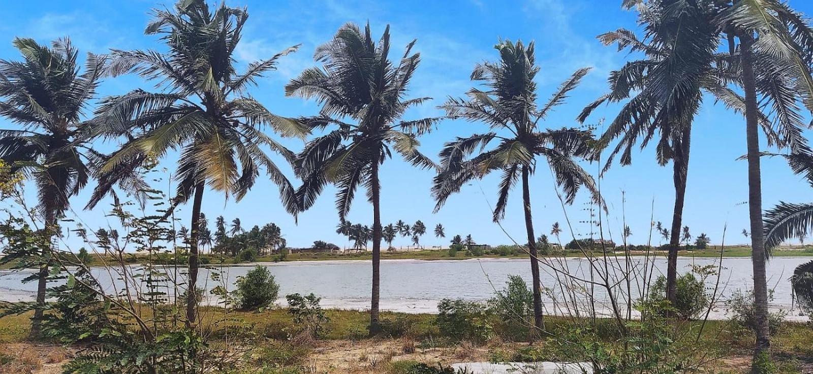 A&Y Wild Camp Ghana Keta Экстерьер фото