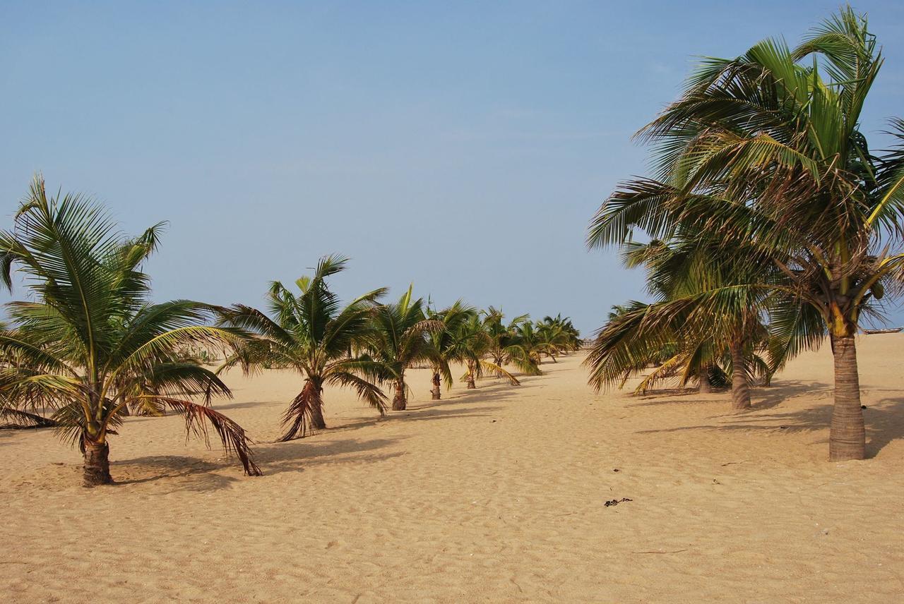 A&Y Wild Camp Ghana Keta Экстерьер фото